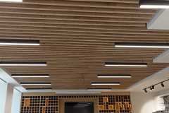 IMG-20250323-WA0046